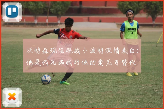 沃特森现场观战小波特深情表白：他是我兄弟我对他的爱无可替代