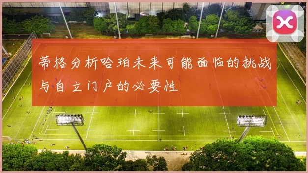 蒂格分析哈珀未来可能面临的挑战与自立门户的必要性